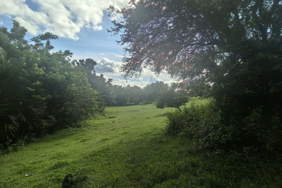 Land for Sale in Mantalongon, Barili, Cebu – photo 6