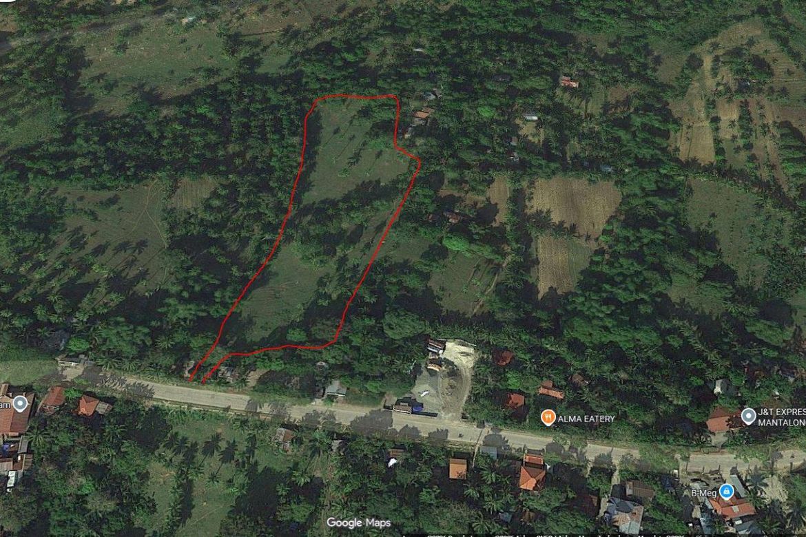 Land for Sale in Mantalongon, Barili, Cebu – photo 7