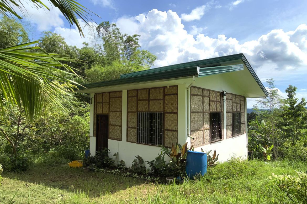 Land for Sale in Mantalongon, Barili, Cebu – photo 8