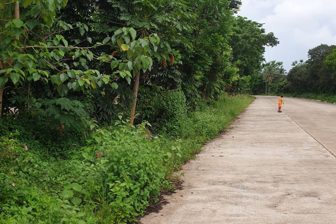 Land for Sale in Mantibugao, Manolo Fortich, Bukidnon