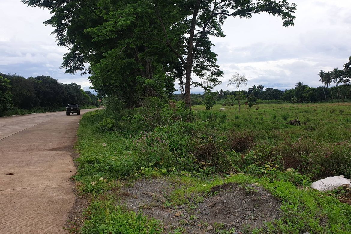 Land for Sale in Mantibugao, Manolo Fortich, Bukidnon – photo 2