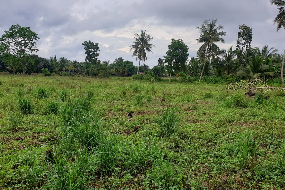 Land for Sale in Mantibugao, Manolo Fortich, Bukidnon – photo 4