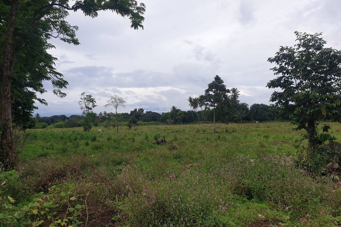 Land for Sale in Mantibugao, Manolo Fortich, Bukidnon – photo 5