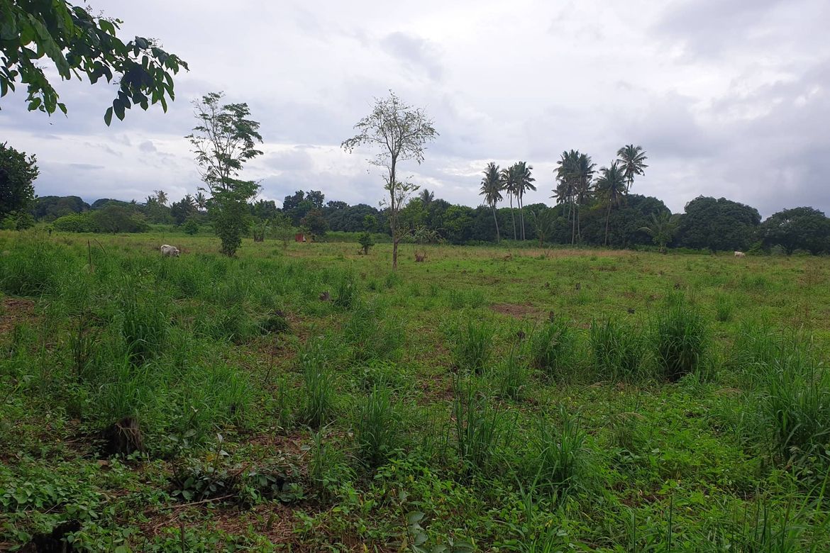 Land for Sale in Mantibugao, Manolo Fortich, Bukidnon – photo 6