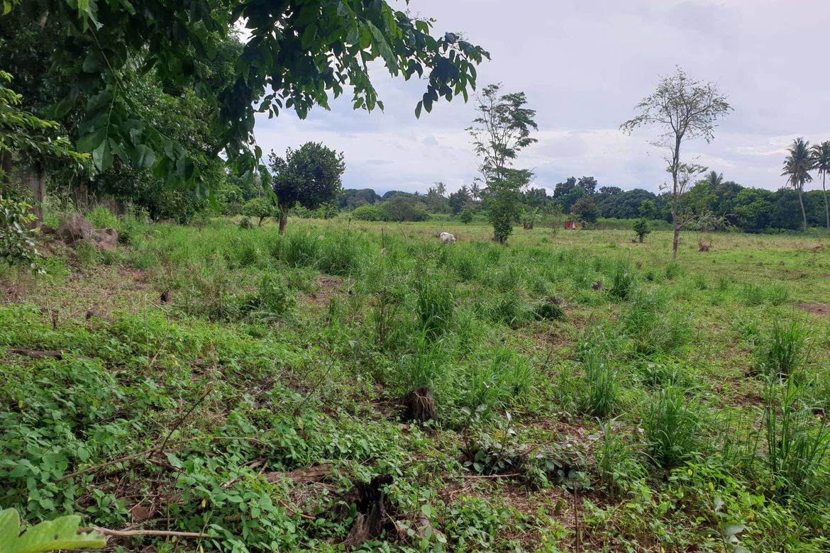 Land for Sale in Mantibugao, Manolo Fortich, Bukidnon – photo 7
