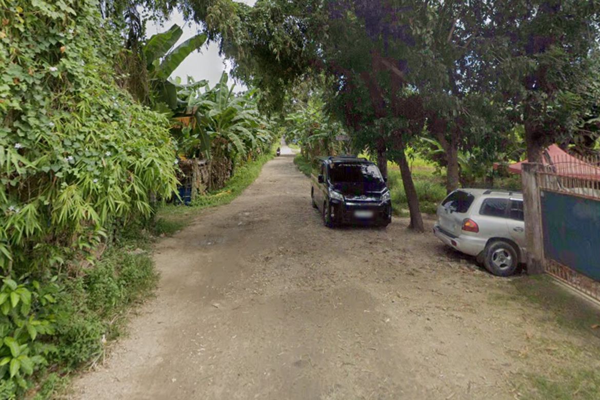 Land for Sale in Mantija, Danao, Cebu – photo 3
