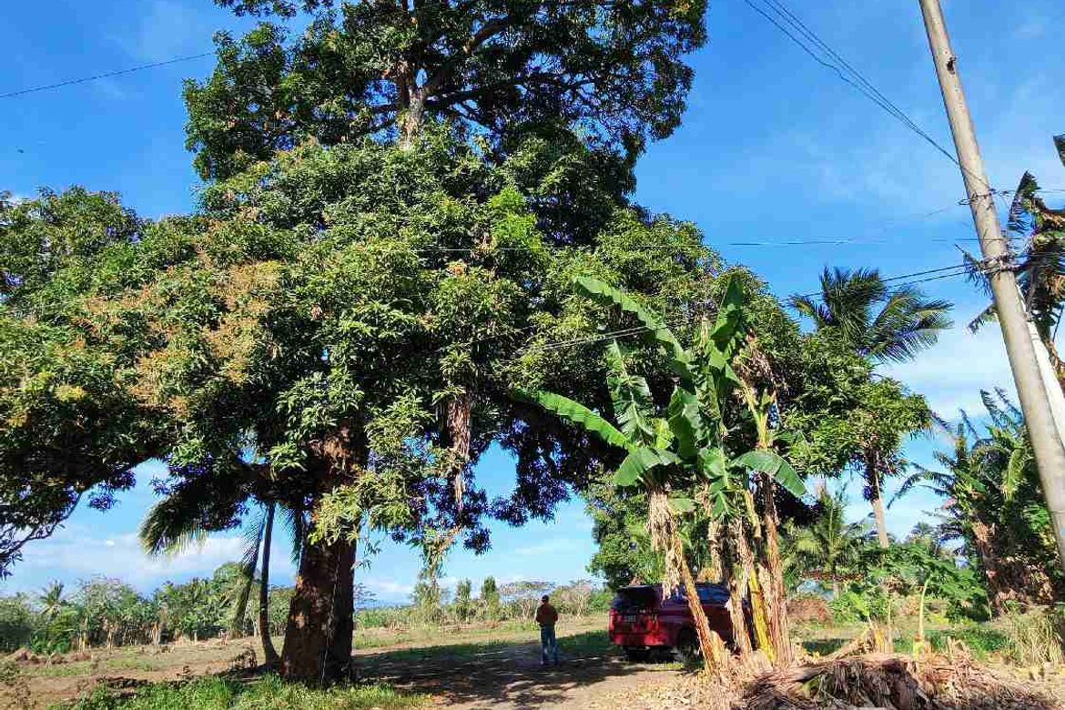 Land for Sale in Manuel Del Valle, Sr., San Antonio, Quezon