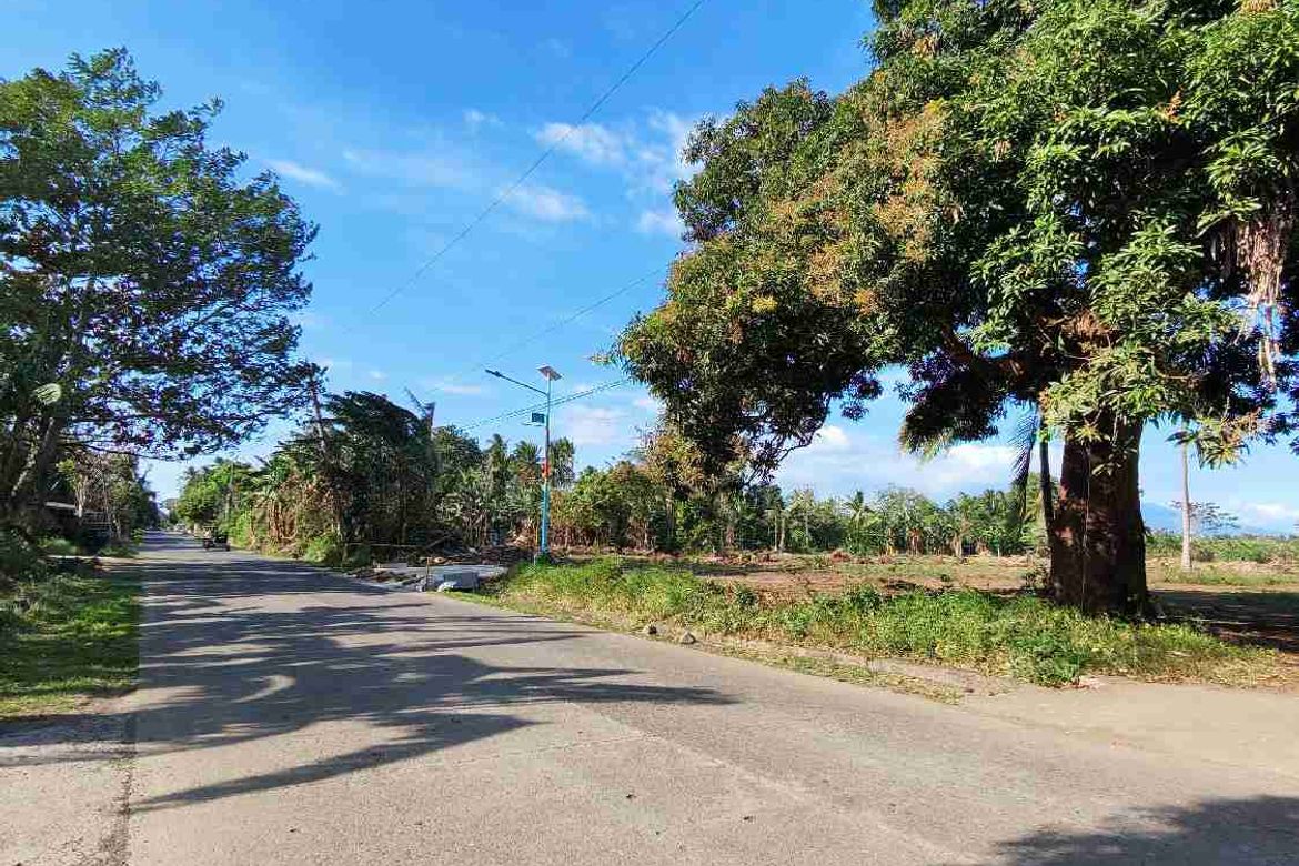 Land for Sale in Manuel Del Valle, Sr., San Antonio, Quezon – photo 2