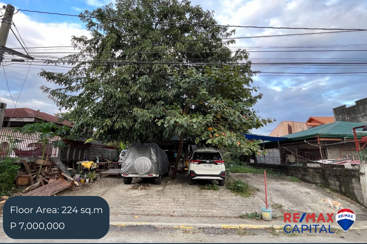 Land for Sale in Manuyo Dos, Las Piñas, Metro Manila – photo 5