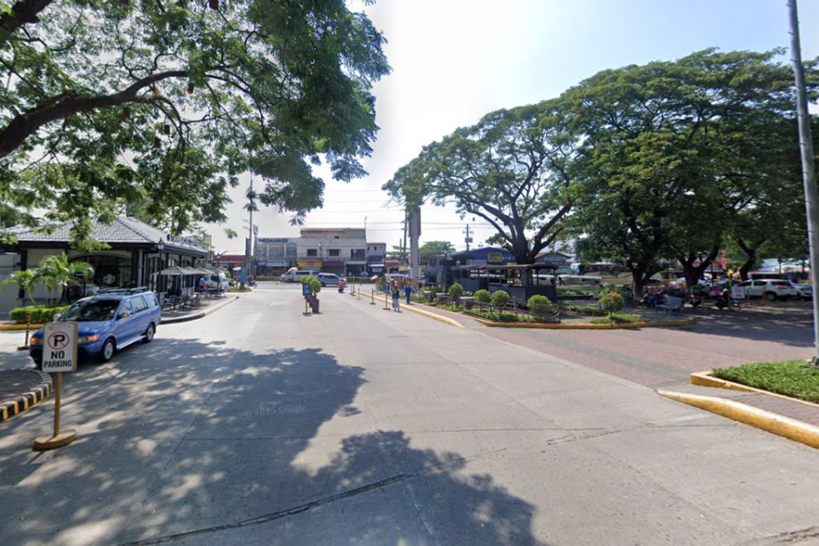 Land for Sale in Mapalacsiao, Tarlac, Tarlac – photo 2