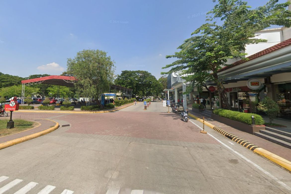 Land for Sale in Mapalacsiao, Tarlac, Tarlac – photo 3