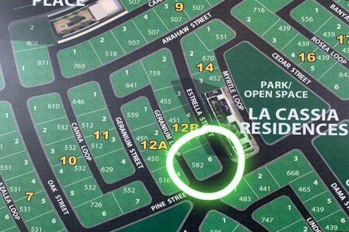 Land for Sale in Maple Grove, Bacao II, General Trias, Cavite – photo 3
