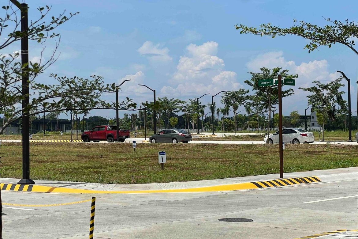 Land for Sale in Maple Grove, Bacao II, General Trias, Cavite – photo 2