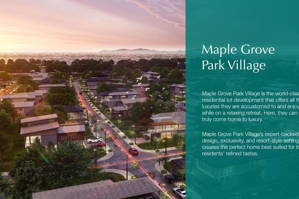 Land for Sale in Maple Grove, Bacao II, General Trias, Cavite – photo 2