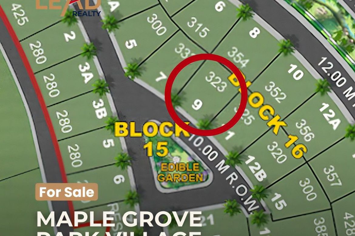 Land for Sale in Maple Grove, Bacao II, General Trias, Cavite