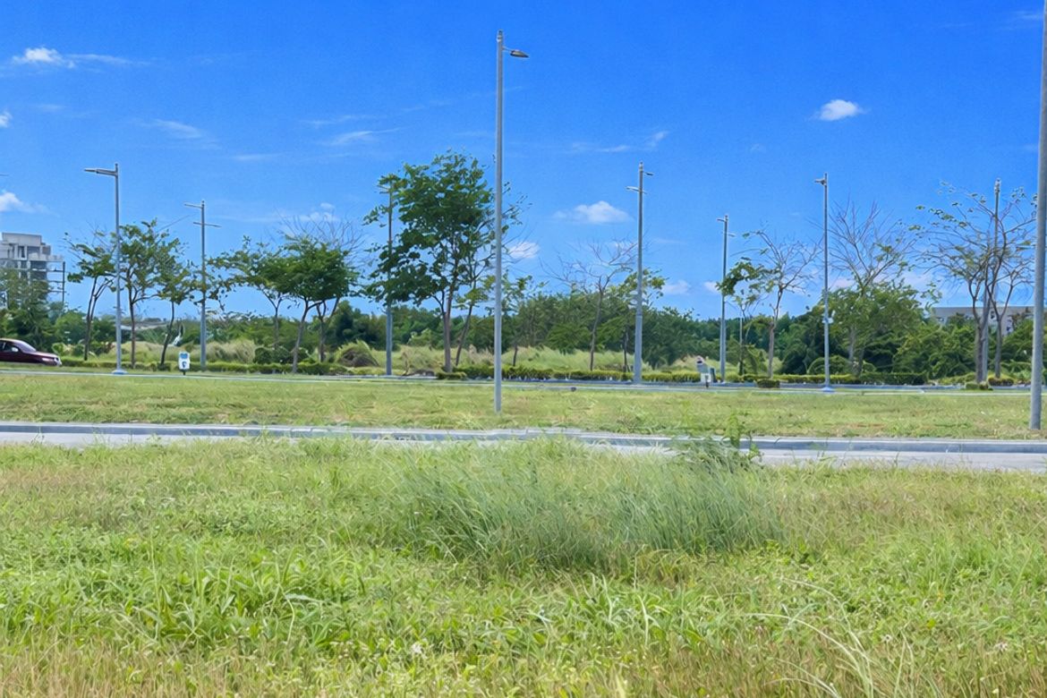 Land for Sale in Maple Grove, Bacao II, General Trias, Cavite – photo 3