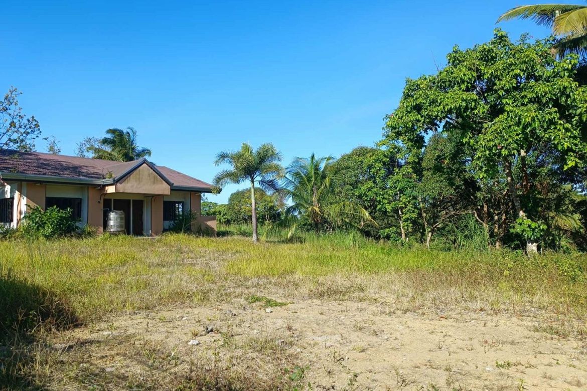 Land for Sale in Marahan I, Alfonso, Cavite