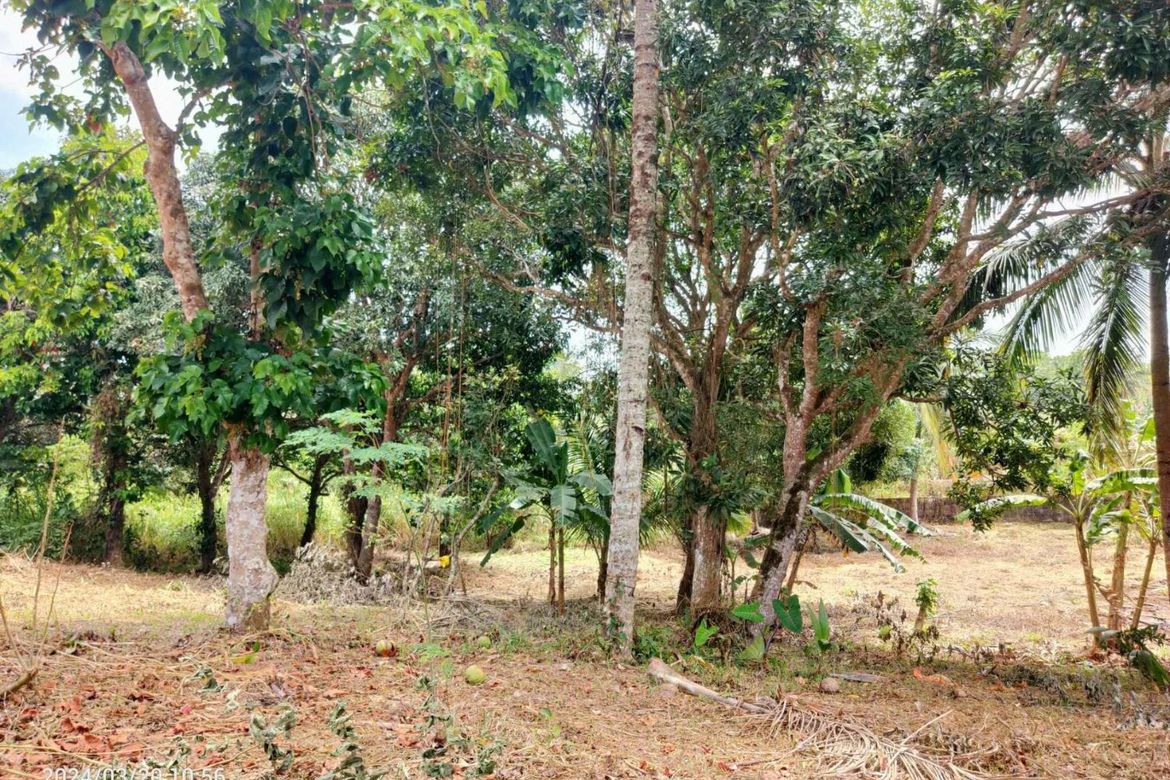 Land for Sale in Marahan I, Alfonso, Cavite – photo 7