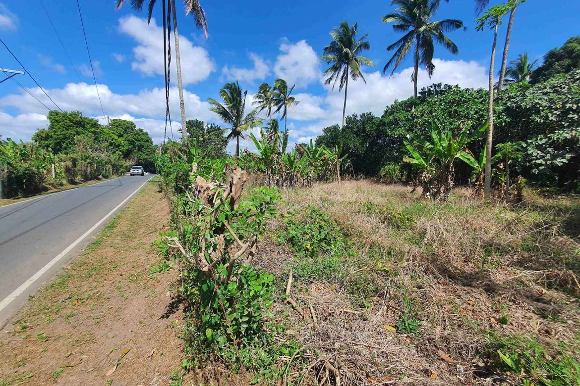 Land for Sale in Marahan I, Alfonso, Cavite – photo 3