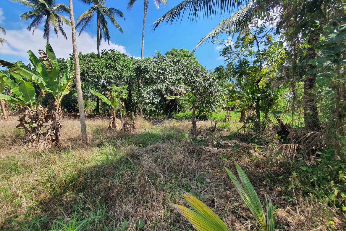 Land for Sale in Marahan I, Alfonso, Cavite – photo 5