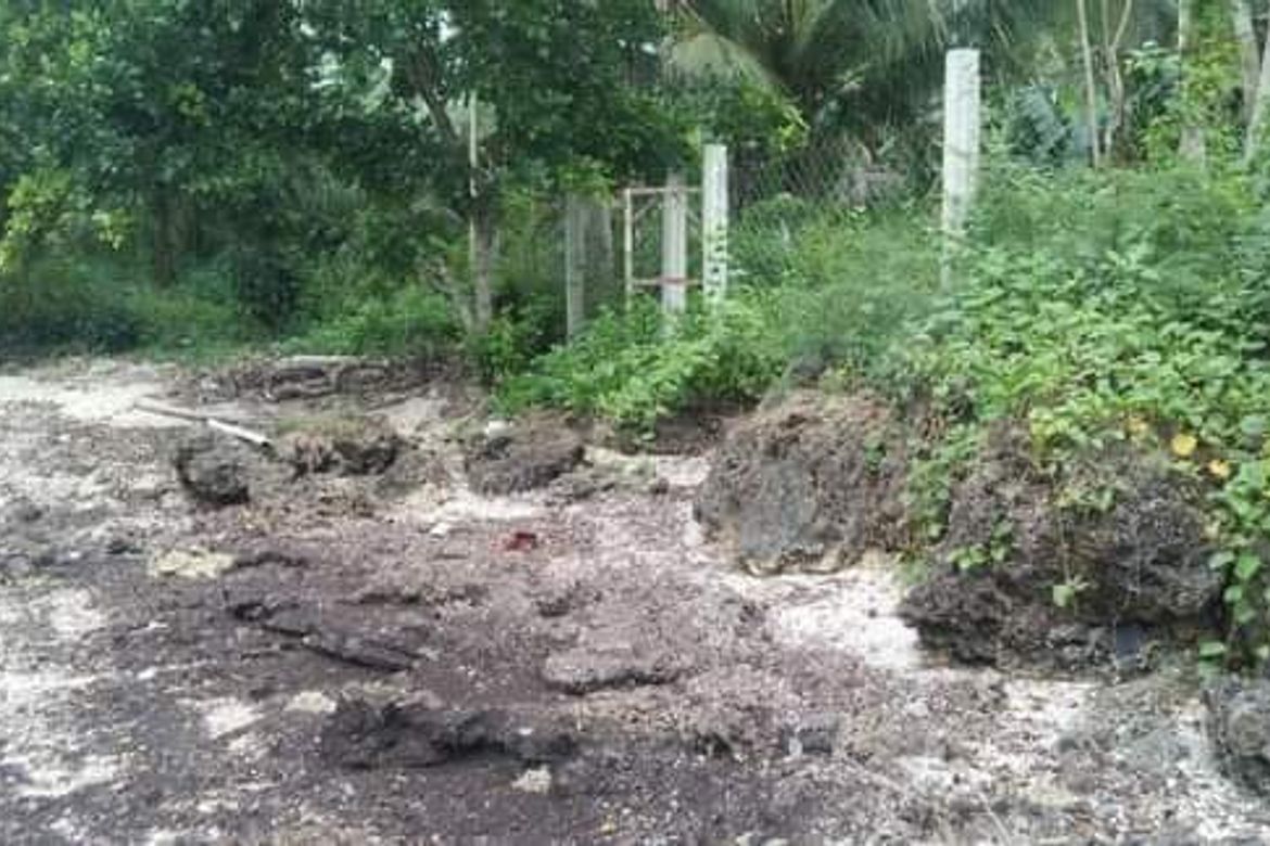 Land for Sale in Maravilla, Tabuelan, Cebu