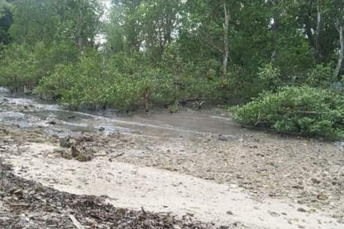 Land for Sale in Maravilla, Tabuelan, Cebu – photo 4