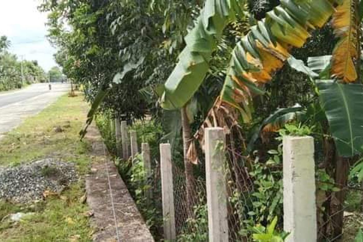 Land for Sale in Maravilla, Tabuelan, Cebu – photo 8