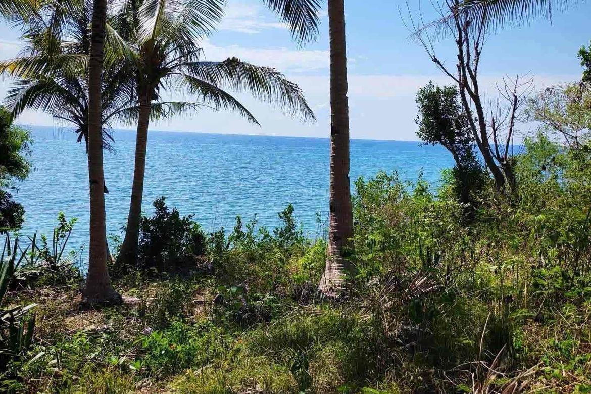 Land for Sale in Maravilla, Tabuelan, Cebu – photo 3