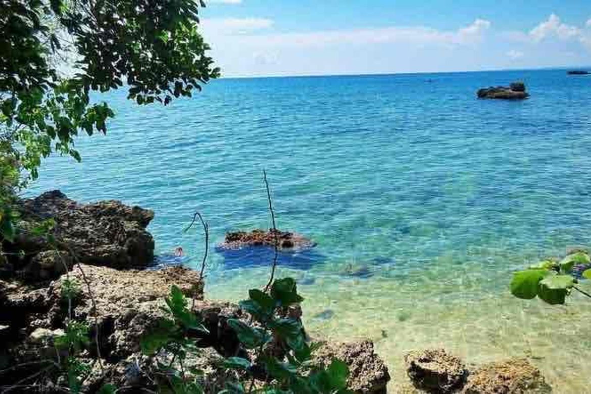 Land for Sale in Maravilla, Tabuelan, Cebu – photo 5