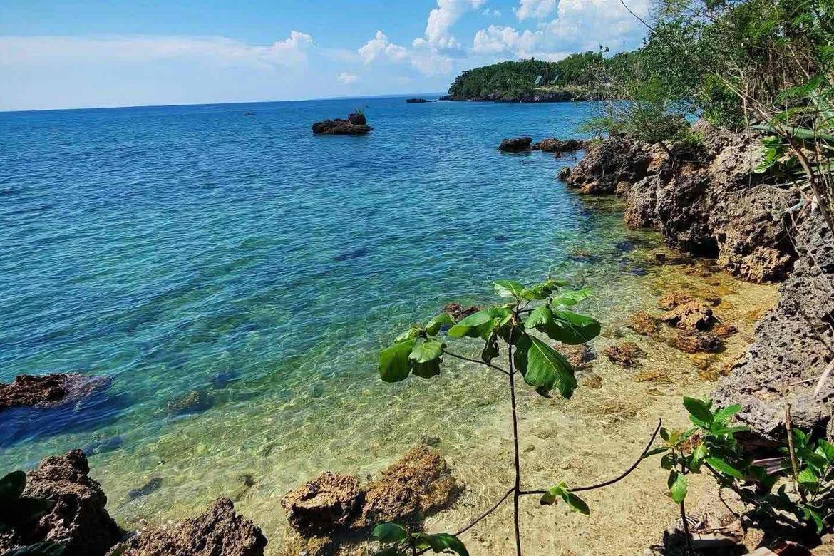 Land for Sale in Maravilla, Tabuelan, Cebu – photo 6
