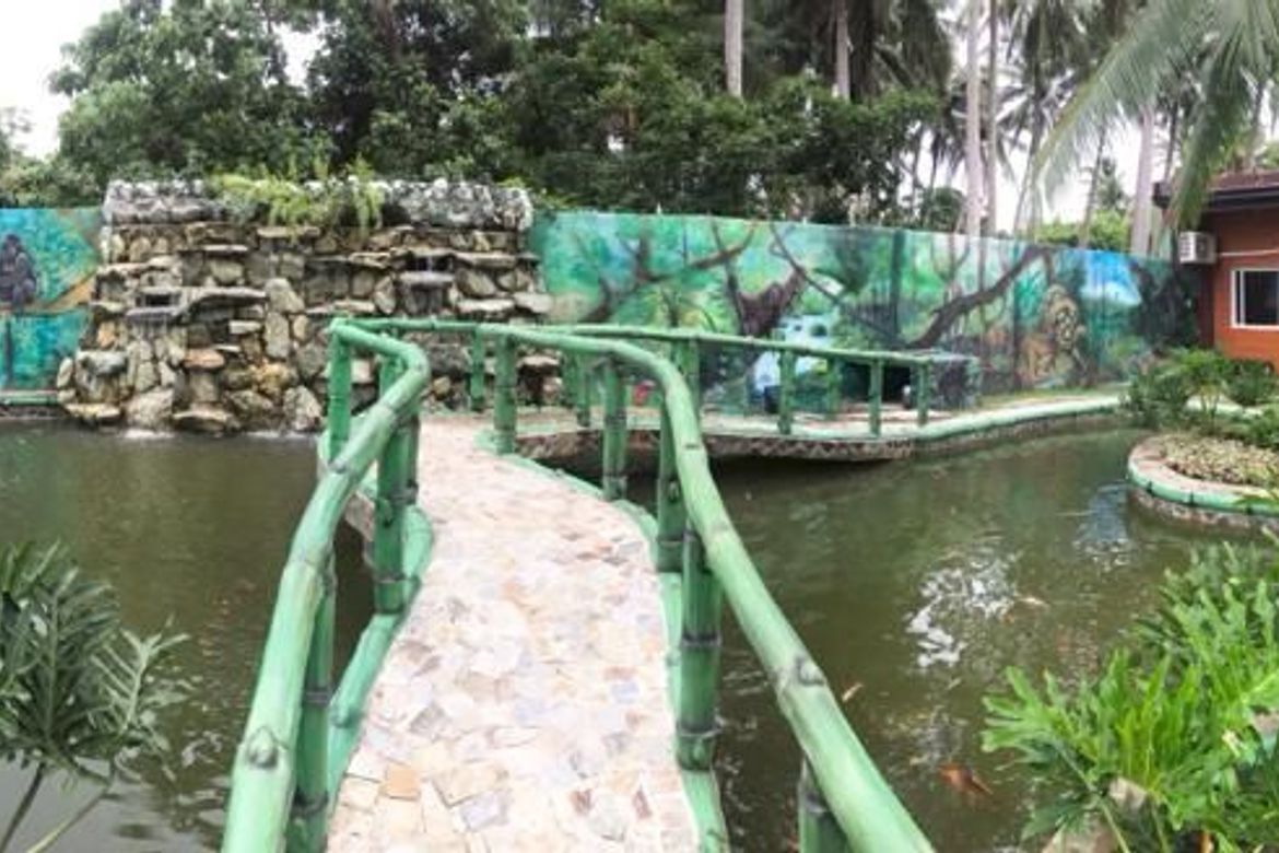 Land for Sale in Maraykit, San Juan, Batangas – photo 8