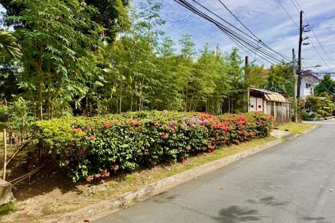 Land for Sale in Marcelo Green Village, Parañaque, Metro Manila