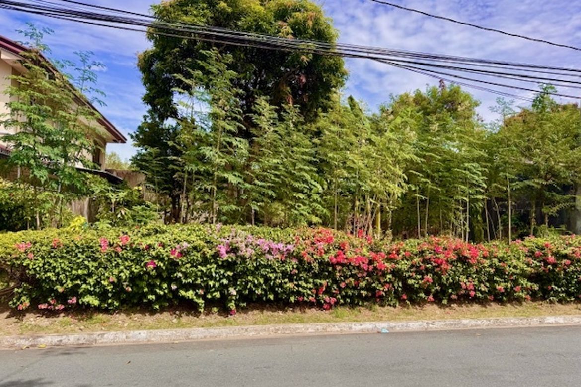 Land for Sale in Marcelo Green Village, Parañaque, Metro Manila – photo 2