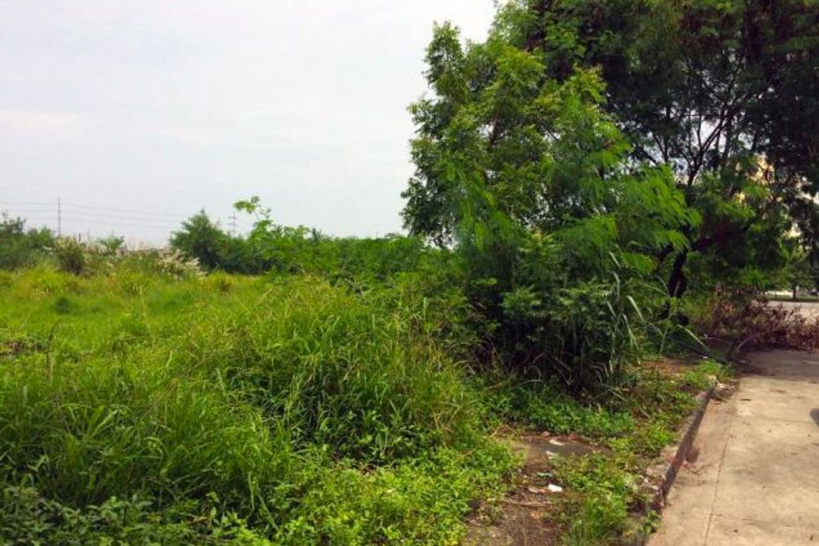 Land for Sale in Marcelo Green Village, Parañaque, Metro Manila