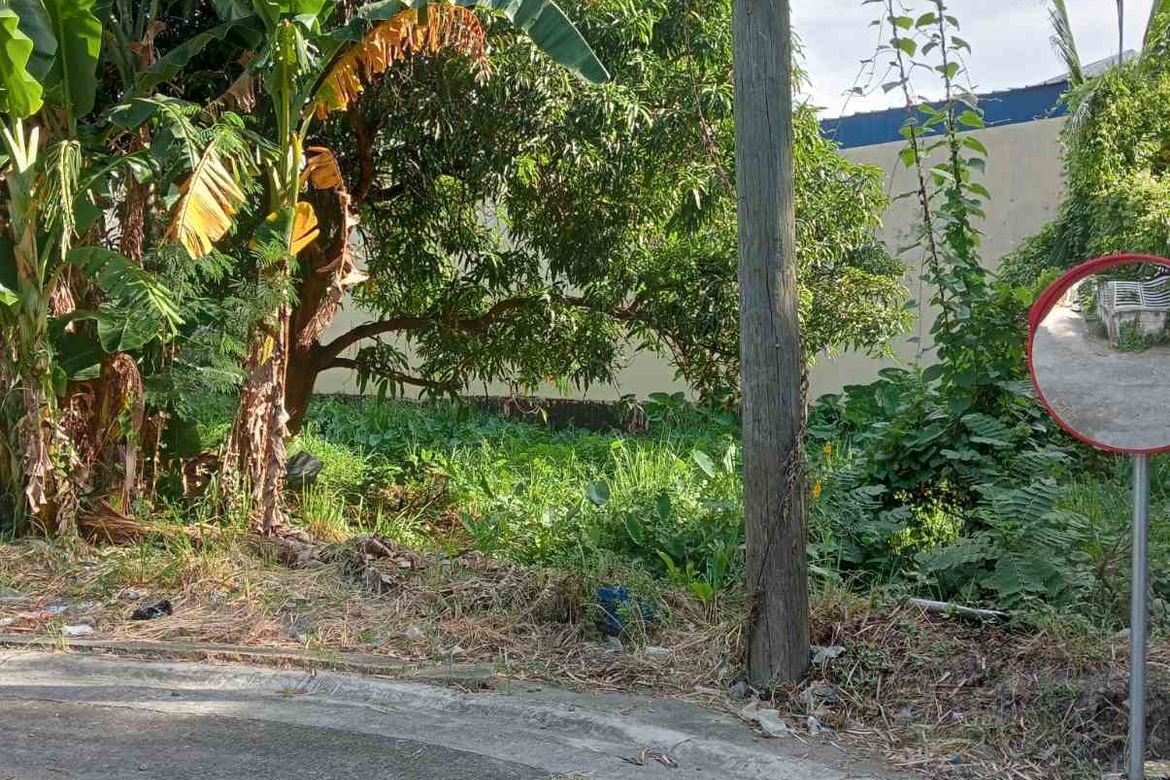 Land for Sale in Marcelo Green Village, Parañaque, Metro Manila