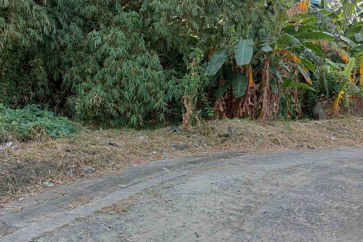 Land for Sale in Marcelo Green Village, Parañaque, Metro Manila – photo 4