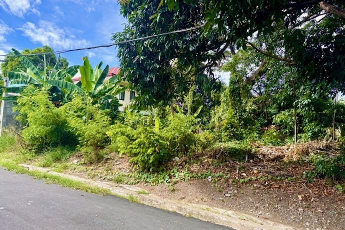 Land for Sale in Marcelo Green Village, Parañaque, Metro Manila