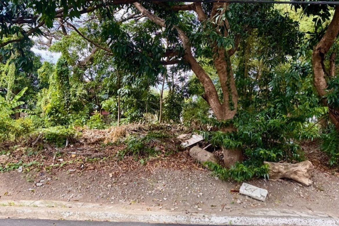 Land for Sale in Marcelo Green Village, Parañaque, Metro Manila – photo 2