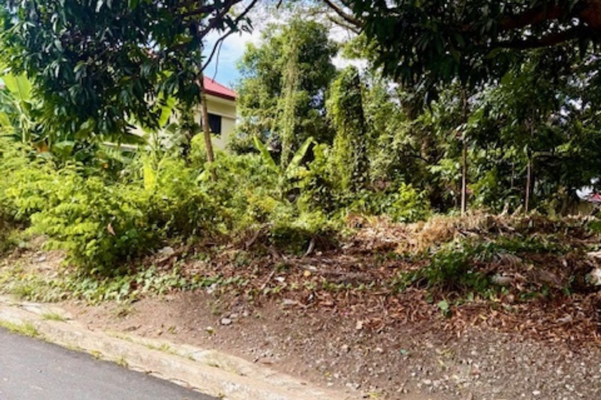 Land for Sale in Marcelo Green Village, Parañaque, Metro Manila – photo 4