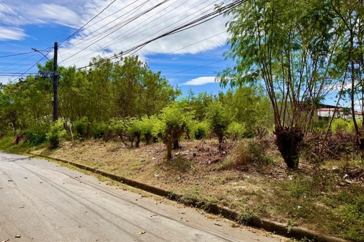 Land for Sale in Marcelo Green Village, Parañaque, Metro Manila – photo 2