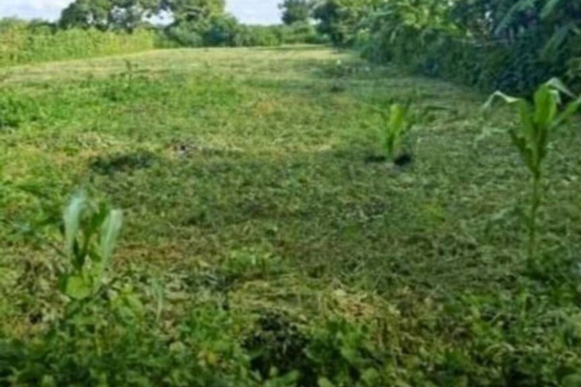 Land for Sale in Marcos Village, Palayan, Nueva Ecija