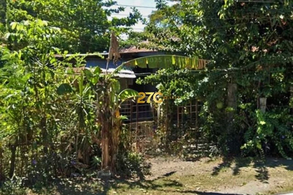 Land for Sale in Marcos Village, Palayan, Nueva Ecija – photo 2