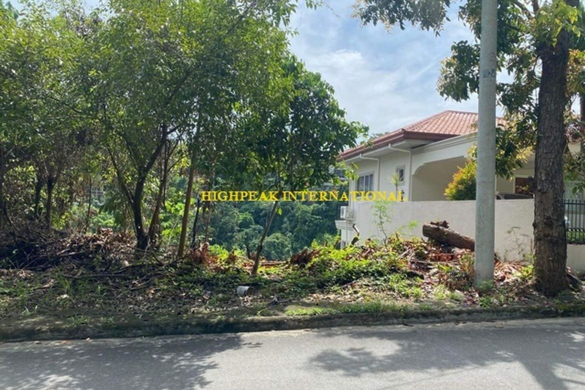 Land for Sale in Maria Luisa Estate Park, Banilad, Cebu City, Cebu – photo 3