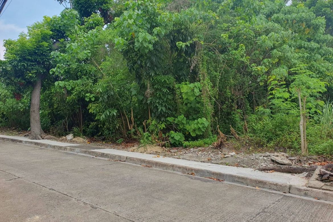 Land for Sale in Maria Luisa Estate Park, Banilad, Cebu City, Cebu – photo 3