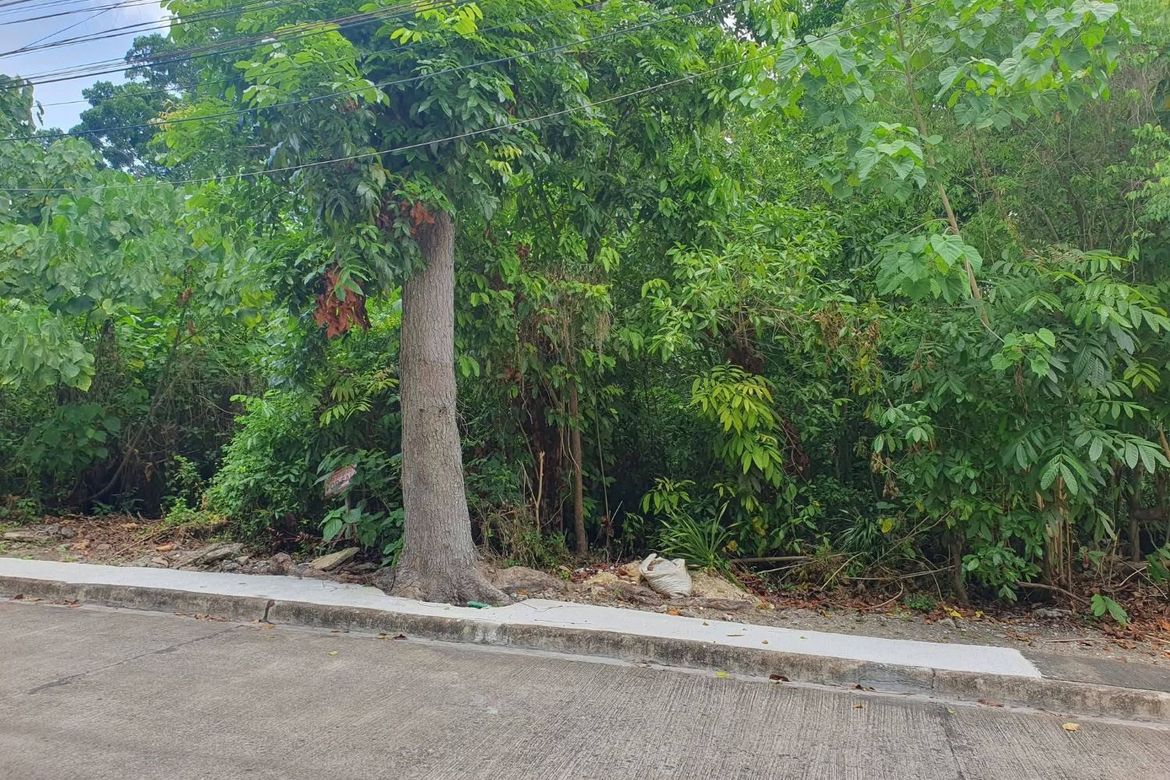 Land for Sale in Maria Luisa Estate Park, Banilad, Cebu City, Cebu – photo 7