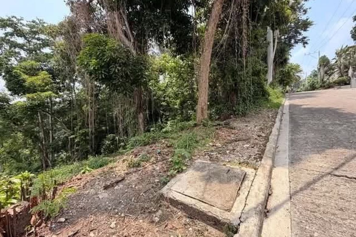 Land for Sale in Maria Luisa Estate Park, Banilad, Cebu City, Cebu – photo 2
