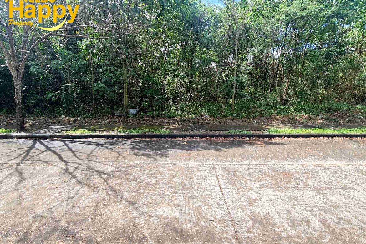 Land for Sale in MARIA LUISA NORTH -THE HERITAGE, Adlaon, Cebu City, Cebu – photo 4