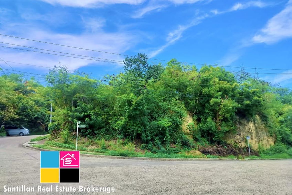 Land for Sale in MARIA LUISA NORTH -THE HERITAGE, Adlaon, Cebu City, Cebu – photo 8