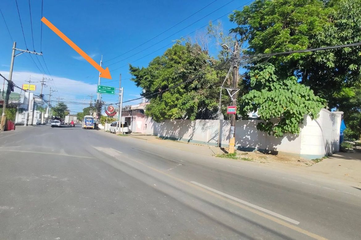 Land for Sale in Maribago, Lapu-Lapu, Cebu – photo 4