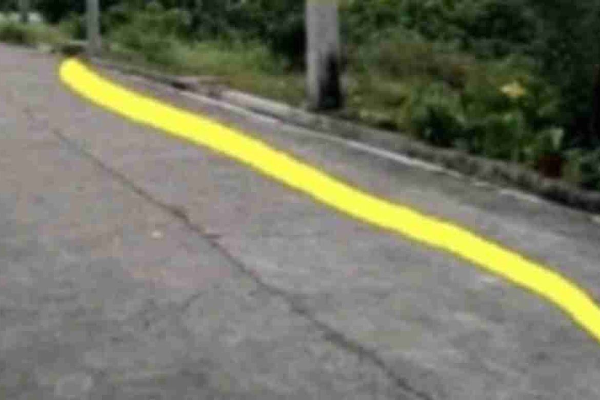 Land for Sale in Maribago, Lapu-Lapu, Cebu – photo 3